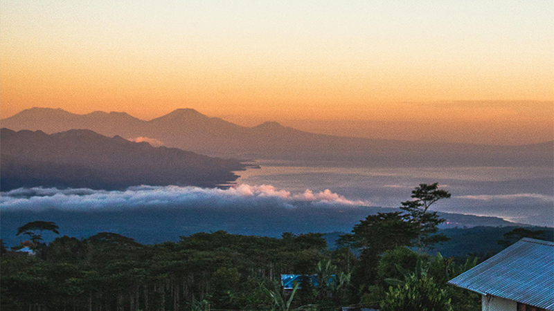 区领导莅临九游会老哥必备的交流社区论坛制药工厂，亲临一线指导工作