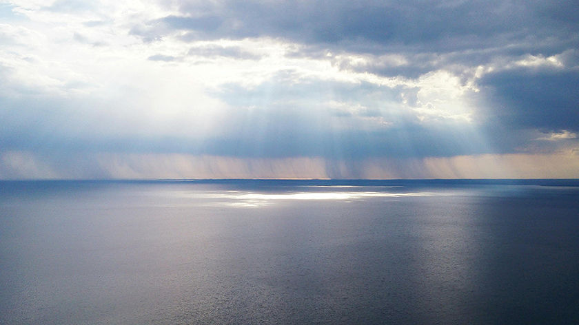 九游会老哥必备的交流社区论坛制药2024西鼎会圆满收官