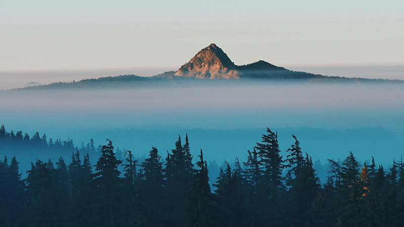 外用药细分龙头九游会老哥必备的交流社区论坛制药登陆A股，打造“药箱”IP矩阵高筑护城河